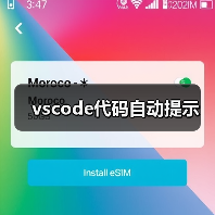 vscode代码自动提示(图3) vscode代码自动提示(图3)