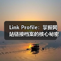 Link Profile:掌握网站链接档案的核心秘密,分析外链概况与链接质量的关键路径(图1) Link Profile:掌握网站链接档案的核心秘密,分析外链概况与链接质量的关键路径(图1)