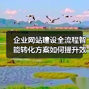 企业网站建设全流程智能转化方案如何提升效率与用户体验?(图2) 企业网站建设全流程智能转化方案如何提升效率与用户体验?(图2)