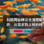 智能网站建设全流程解析:从需求到上线的核心步骤(图4) 智能网站建设全流程解析:从需求到上线的核心步骤(图4)