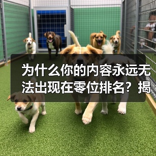 为什么你的内容永远无法出现在零位排名?揭秘Featured Snippet Optimization的真相!(图4) 为什么你的内容永远无法出现在零位排名?揭秘Featured Snippet Optimization的真相!(图4)