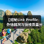 【揭秘Link Profile：外链概况与链接质量分析的终极指南】（图3）