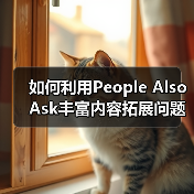 如何利用People Also Ask丰富内容拓展问题的秘密策略(图1) 如何利用People Also Ask丰富内容拓展问题的秘密策略(图1)