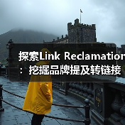 探索Link Reclamation:挖掘品牌提及转链接的潜藏机会,实现链接回收的奇迹(图4) 探索Link Reclamation:挖掘品牌提及转链接的潜藏机会,实现链接回收的奇迹(图4)
