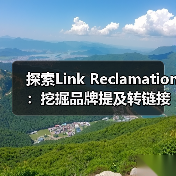 探索Link Reclamation:挖掘品牌提及转链接的潜藏机会,实现链接回收的奇迹(图3) 探索Link Reclamation:挖掘品牌提及转链接的潜藏机会,实现链接回收的奇迹(图3)