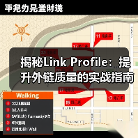 揭秘Link Profile:提升外链质量的实战指南(图2) 揭秘Link Profile:提升外链质量的实战指南(图2)