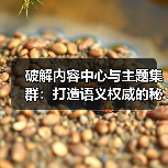 破解内容中心与主题集群：打造语义权威的秘诀（图2）