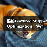 揭秘Featured Snippet Optimization:快速攀登零位排名的奇迹(图2) 揭秘Featured Snippet Optimization:快速攀登零位排名的奇迹(图2)