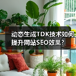 动态生成TDK技术如何提升网站SEO效果?(图4) 动态生成TDK技术如何提升网站SEO效果?(图4)