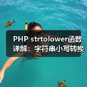 PHP strtolower函数详解:字符串小写转换技巧(图4) PHP strtolower函数详解:字符串小写转换技巧(图4)