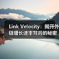 Link Velocity:揭开外链增长速率背后的秘密,助你自然性评估实现SEO飞跃!(图2) Link Velocity:揭开外链增长速率背后的秘密,助你自然性评估实现SEO飞跃!(图2)