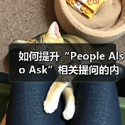 如何提升“People Also Ask”相关提问的内容覆盖与问题解答效果（图3）
