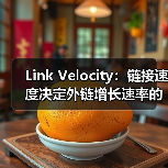 Link Velocity：链接速度决定外链增长速率的幕后密码（图3）