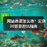 网站选项怎么选?实测30项目避坑指南(图1) 网站选项怎么选?实测30项目避坑指南(图1)