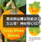 高端网站建设智能运营怎么做?揭秘核心技巧(图1) 高端网站建设智能运营怎么做?揭秘核心技巧(图1)