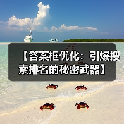 【答案框优化:引爆搜索排名的秘密武器】(图1) 【答案框优化:引爆搜索排名的秘密武器】(图1)
