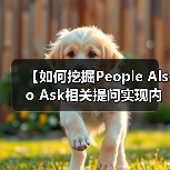 【如何挖掘People Also Ask相关提问实现内容拓展】（图3）