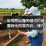 如何用问题关键词打造高转化问答内容，提升SEO排名