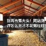 别再当冤大头!网站测评怎么测才不花冤枉钱(图4) 别再当冤大头!网站测评怎么测才不花冤枉钱(图4)