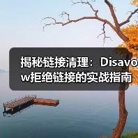 揭秘链接清理:Disavow拒绝链接的实战指南,助你逃脱惩罚恢复困境!(图1) 揭秘链接清理:Disavow拒绝链接的实战指南,助你逃脱惩罚恢复困境!(图1)