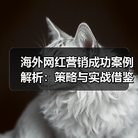 海外网红营销成功案例解析:策略与实战借鉴(图2) 海外网红营销成功案例解析:策略与实战借鉴(图2)