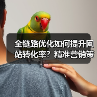 全链路优化如何提升网站转化率?精准营销策略解析(图3) 全链路优化如何提升网站转化率?精准营销策略解析(图3)