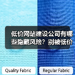 低价网站建设公司有哪些隐藏风险?别被低价迷惑!(图2) 低价网站建设公司有哪些隐藏风险?别被低价迷惑!(图2)