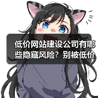 低价网站建设公司有哪些隐藏风险?别被低价迷惑!(图3) 低价网站建设公司有哪些隐藏风险?别被低价迷惑!(图3)