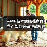 AMP技术实施难点有哪些?如何突破性能瓶颈?(图3) AMP技术实施难点有哪些?如何突破性能瓶颈?(图3)