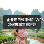 企业项目效率低?WPS如何破解管理难题(图2) 企业项目效率低?WPS如何破解管理难题(图2)