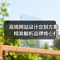 高端网站设计定制方案：精准解析品牌核心打造策略（图4）