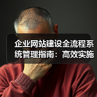 企业网站建设全流程系统管理指南：高效实施策略（图3）