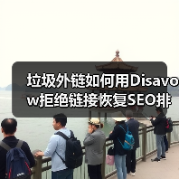垃圾外链如何用Disavow拒绝链接恢复SEO排名?科学操作指南(图3) 垃圾外链如何用Disavow拒绝链接恢复SEO排名?科学操作指南(图3)