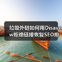 垃圾外链如何用Disavow拒绝链接恢复SEO排名?科学操作指南(图4) 垃圾外链如何用Disavow拒绝链接恢复SEO排名?科学操作指南(图4)