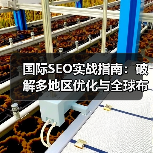 国际SEO实战指南：破解多地区优化与全球布局的底层逻辑（图2）
