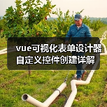 vue可视化表单设计器自定义控件创建详解(图2) vue可视化表单设计器自定义控件创建详解(图2)
