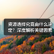 资源选择究竟由什么决定?深度解析关键因素(图3) 资源选择究竟由什么决定?深度解析关键因素(图3)
