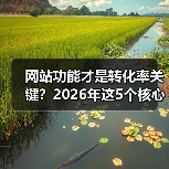 网站功能才是转化率关键?2026年这5个核心功能你必须知道(图3) 网站功能才是转化率关键?2026年这5个核心功能你必须知道(图3)