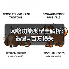 网络功能类型全解析:选错=百万损失(图3) 网络功能类型全解析:选错=百万损失(图3)