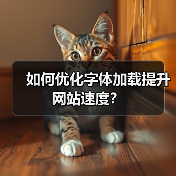 如何优化字体加载提升网站速度？（图3）