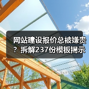 网站建设报价总被嫌贵？拆解237份模板揭示真相（图2）