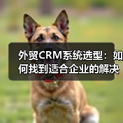 外贸CRM系统选型:如何找到适合企业的解决方案?(图2) 外贸CRM系统选型:如何找到适合企业的解决方案?(图2)