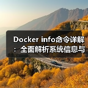 Docker info命令详解：全面解析系统信息与配置