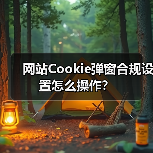 网站Cookie弹窗合规设置怎么操作?(图1) 网站Cookie弹窗合规设置怎么操作?(图1)