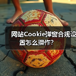 网站Cookie弹窗合规设置怎么操作?(图4) 网站Cookie弹窗合规设置怎么操作?(图4)