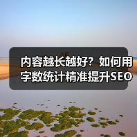 内容越长越好?如何用字数统计精准提升SEO排名?(图4) 内容越长越好?如何用字数统计精准提升SEO排名?(图4)