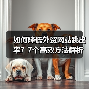 如何降低外贸网站跳出率?7个高效方法解析(图1) 如何降低外贸网站跳出率?7个高效方法解析(图1)