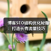 博客SEO结构优化秘籍:打造长青流量技巧(图1) 博客SEO结构优化秘籍:打造长青流量技巧(图1)