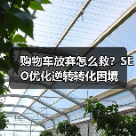 购物车放弃怎么救?SEO优化逆转转化困境(图3) 购物车放弃怎么救?SEO优化逆转转化困境(图3)