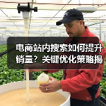 电商站内搜索如何提升销量?关键优化策略揭秘(图1) 电商站内搜索如何提升销量?关键优化策略揭秘(图1)